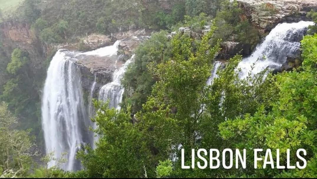 Lisbon Eco Lodge 그래스콥 외부 사진